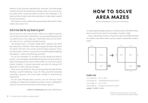 The Big Puzzle Book of Area Mazes : 300 Mind-Bending Math Puzzles in Five Challenge Levels - MPHOnline.com