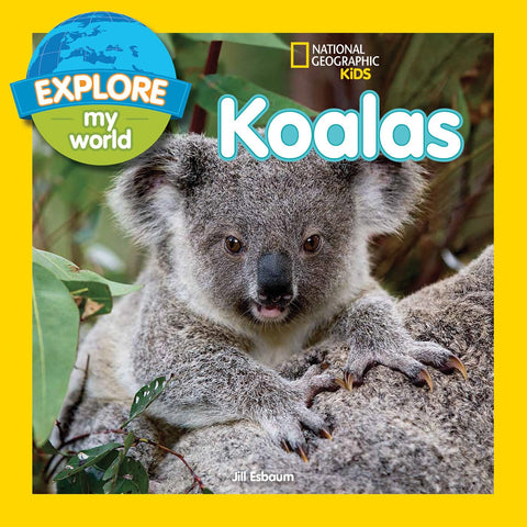 NATGEO KIDS EXPLORE MY WORLD:KOALAS - MPHOnline.com