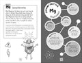 A Day in the Life of the Periodic Table - MPHOnline.com