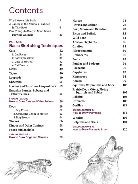 How to Draw Animals: A Visual Reference Guide to Sketching 100 Animals Including Popular Dogs and Cat Breeds! - MPHOnline.com