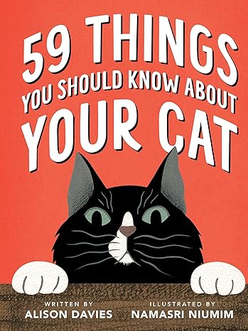 59 Things You Should Know About Your Cat - MPHOnline.com