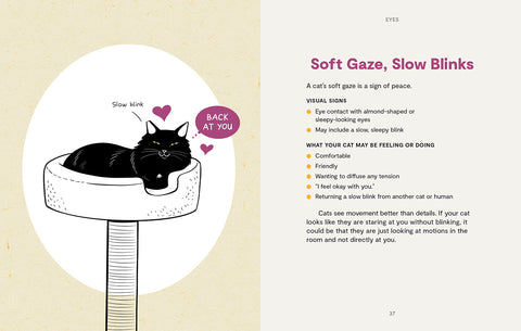 Kitty Language: An Illustrated Guide to Understanding Your Cat - MPHOnline.com