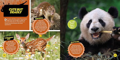 National Geographic Kids Deadliest Animals On The Planet - MPHOnline.com