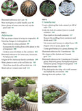 Succulents Made Easy : A Beginner's Guide (Featuring 200 Varieties) - MPHOnline.com