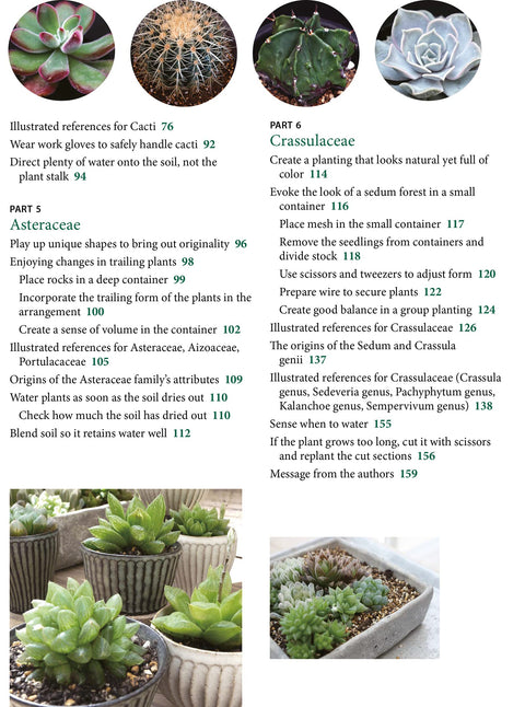 Succulents Made Easy : A Beginner's Guide (Featuring 200 Varieties) - MPHOnline.com