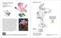 Origami Orchids Kit t: 20 Beautiful Die-Cut Paper Models - MPHOnline.com