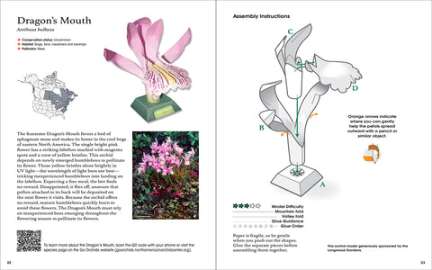 Origami Orchids Kit t: 20 Beautiful Die-Cut Paper Models - MPHOnline.com