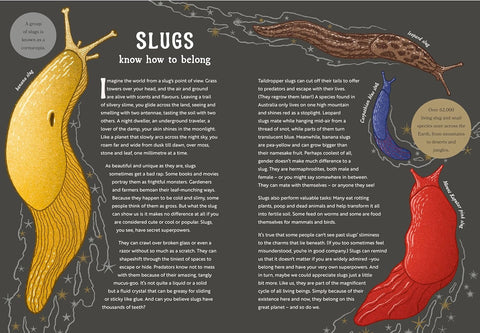 The Hidden Wisdom of Animals: Surprising Things We Can Learn From Nature (HC)