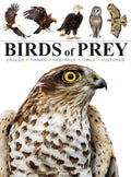 Birds of Prey (Mini Encyclopedia) - MPHOnline.com