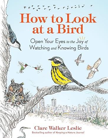 How to Look at a Bird: Open Your Eyes to the Joy of Watching and Knowing Birds - MPHOnline.com