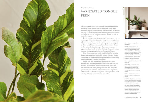 Terrain: The Houseplant Book: An Insider’s Guide to Cultivating and Collecting the Most Sought-After Specimens - MPHOnline.com