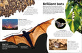 DK Eyewonder: Mammals - MPHOnline.com