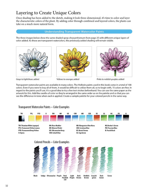 A Step-By-Step Guide to Botanical Drawing & Painting - MPHOnline.com