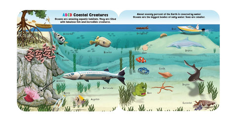 Oceans ABC (Fun Flaps) - MPHOnline.com