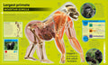 DK Super Nature 2E - MPHOnline.com