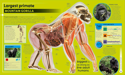 DK Super Nature 2E - MPHOnline.com