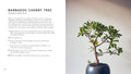 The Little Book of Bonsai - MPHOnline.com