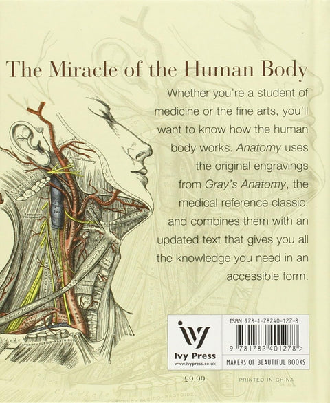 Anatomy : A Complete Guide To The Human Body, For Artists & Students - MPHOnline.com