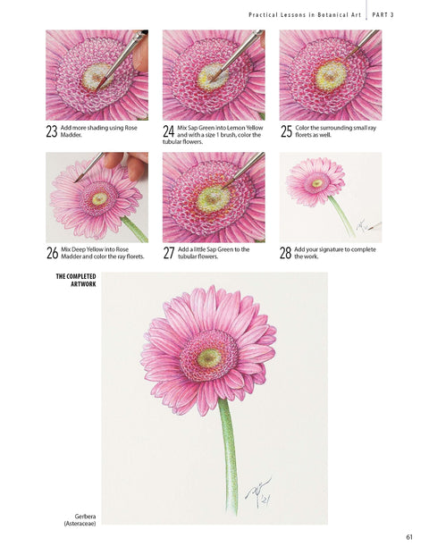 A Step-By-Step Guide to Botanical Drawing & Painting - MPHOnline.com