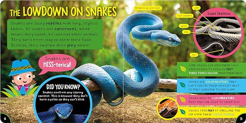 Amazing Snakes - MPHOnline.com