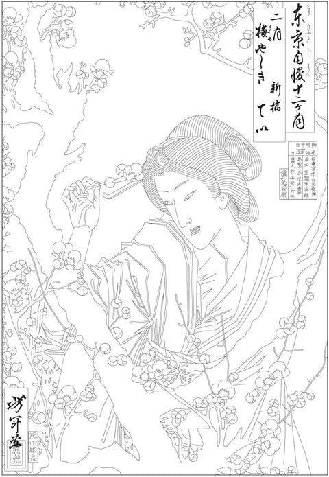 In a Japanese Garden Coloring Book: With Reflections from Lafcadio Hearn's 'In a Japanese Garden - MPHOnline.com