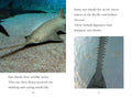 PYR L4: TIME for Kids - Sharks - MPHOnline.com