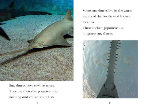 PYR L4: TIME for Kids - Sharks - MPHOnline.com
