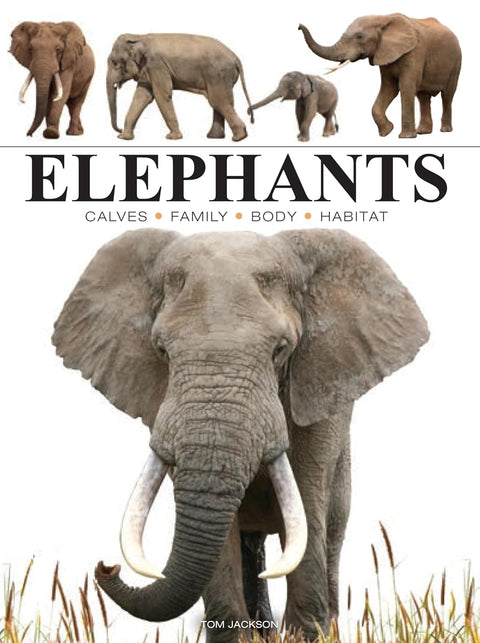 Elephants (Mini Encyclopedia) - MPHOnline.com