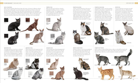 The Cat Encyclopedia: The Definitive Visual Guide - MPHOnline.com