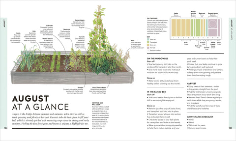 Veg in One Bed : How to Grow an Abundance of Food in One Raised Bed, Month by Month - MPHOnline.com