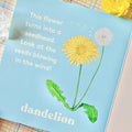 Look! A Flower! - MPHOnline.com