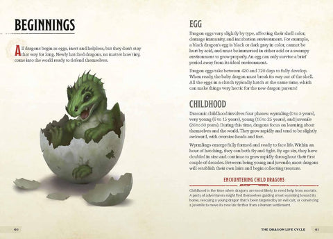 Dragons & Treasures (Dungeons & Dragons): A Young Adventurer's Guide - MPHOnline.com