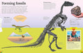 Utterly Amazing Dinosaur (with Pop-Ups, Flaps and Facts) - MPHOnline.com