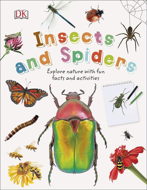 Insects And Spiders (Nature Explorers) - MPHOnline.com