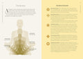Find Your Light: Awaken Your Soul Power and Embrace Your Calling - MPHOnline.com