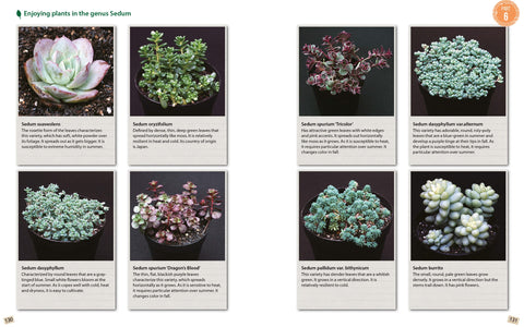 Succulents Made Easy : A Beginner's Guide (Featuring 200 Varieties) - MPHOnline.com