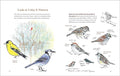 How to Look at a Bird: Open Your Eyes to the Joy of Watching and Knowing Birds - MPHOnline.com