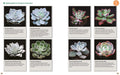 Succulents Made Easy : A Beginner's Guide (Featuring 200 Varieties) - MPHOnline.com