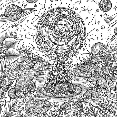 Enchanted Earth: A Colouring Journey Through Magical Landscapes - MPHOnline.com