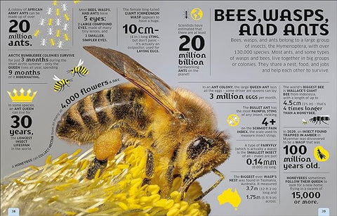 Our World in Numbers Animals: An Encyclopedia of Fantastic Facts - MPHOnline.com