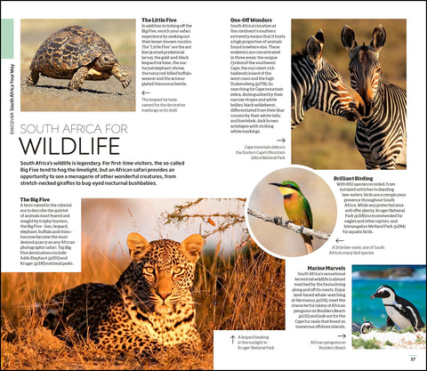 DK Eyewitness South Africa (Travel Guide) - MPHOnline.com