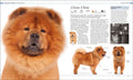 The Dog Encyclopedia: The Definitive Visual Guide - MPHOnline.com