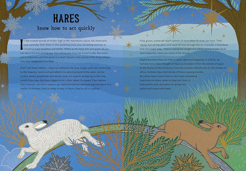 The Hidden Wisdom of Animals: Surprising Things We Can Learn From Nature (HC)
