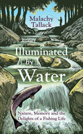 Illuminated By Water - MPHOnline.com
