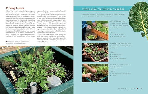 The Vegetable Gardener's Container Bible - How to Grow a Bounty of Food in Pots, Tubs, and Other Containers - MPHOnline.com