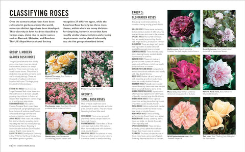 Grow Roses: Essential Know-how and Expert Advice for Gardening Success - MPHOnline.com