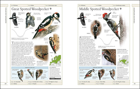 RSPB Complete Birds of Britain and Europe - MPHOnline.com