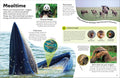 DK Eyewonder: Mammals - MPHOnline.com
