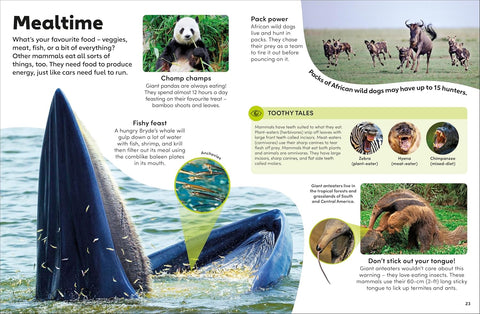 DK Eyewonder: Mammals - MPHOnline.com