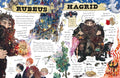 Pocket Potters: Hagrid - MPHOnline.com